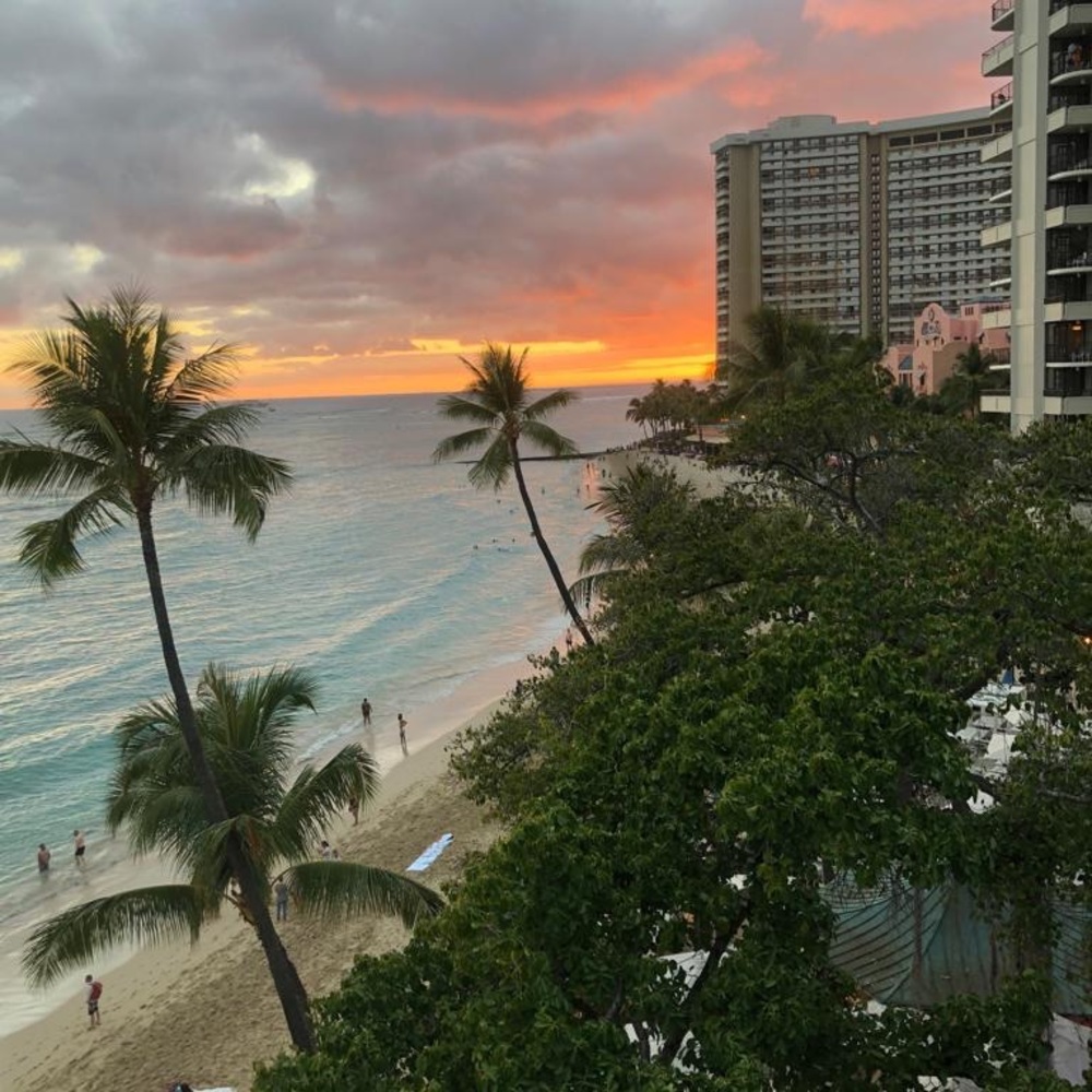 Meet your Posher, Evelyn